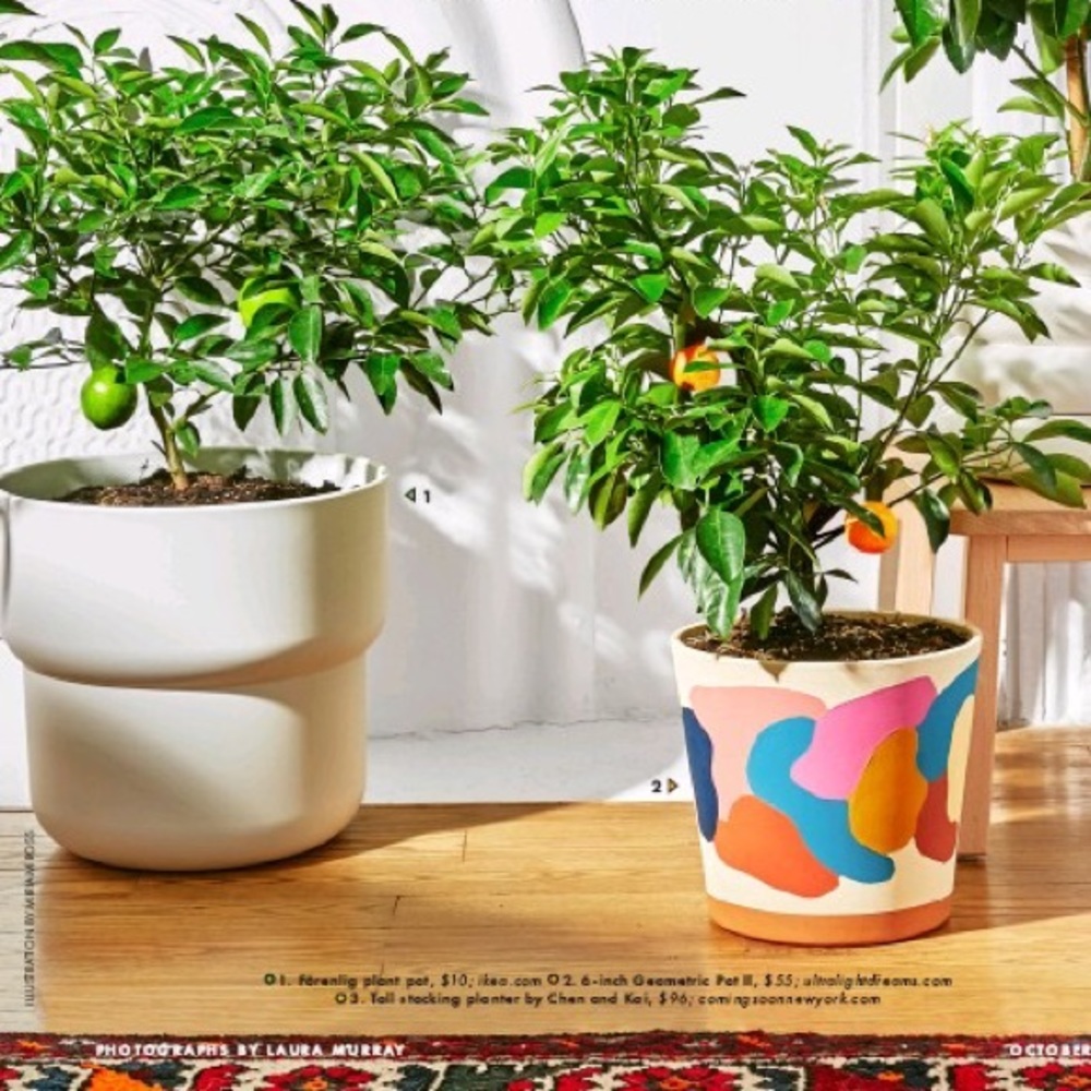 Large White Plant Pot